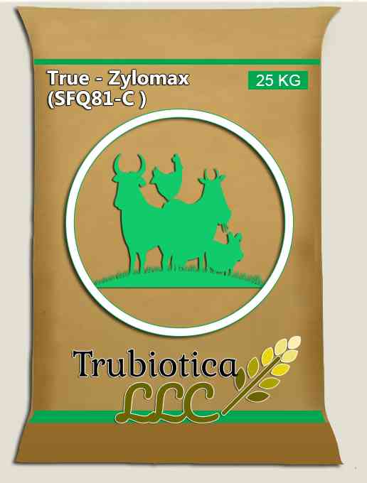 TRUE-ZYLOMAX
